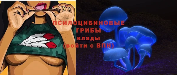 сатива Дмитриев