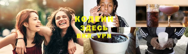 сатива Дмитриев