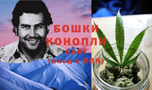 сатива Дмитриев