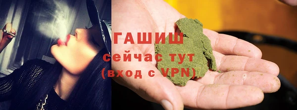 сатива Дмитриев