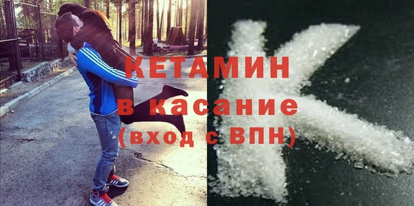 сатива Дмитриев