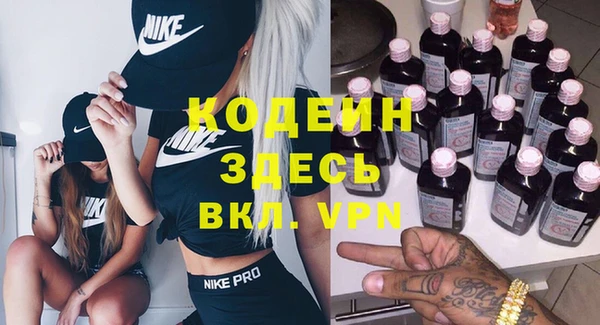 сатива Дмитриев