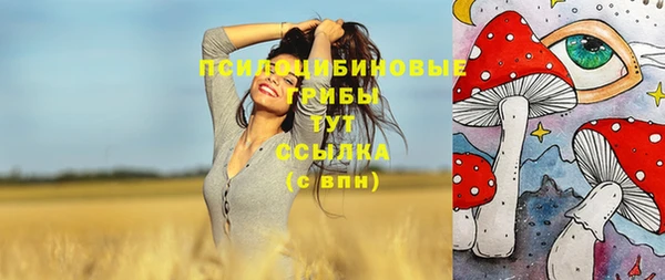сатива Дмитриев