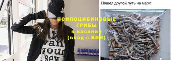 прущая мука Ельня