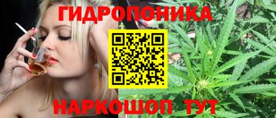 крисы Ипатово