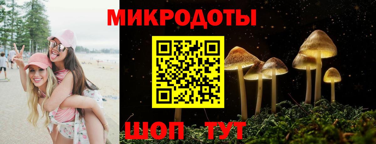 Псилоцибиновые грибы GOLDEN TEACHER Изобильный
