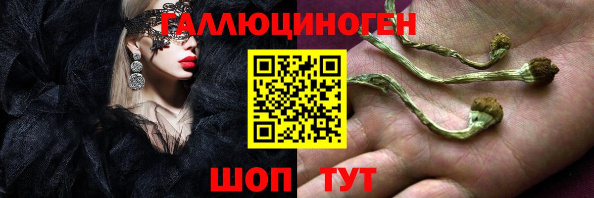 Псилоцибиновые грибы мухоморы  где найти наркотики  Псилоцибиновые грибы прущие грибы  Изобильный  Вход с VPN 